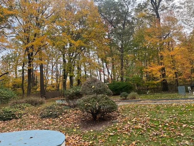 View of yard View of yard