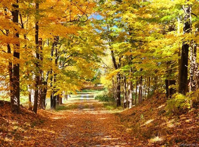 View of undeveloped land View of undeveloped land