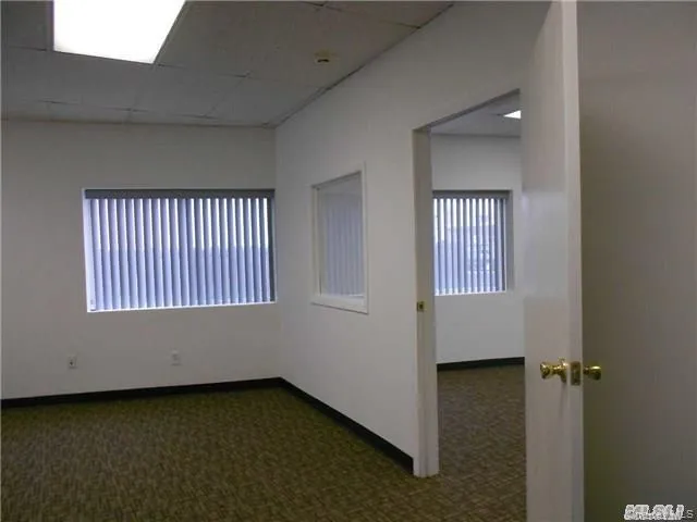 Empty room featuring dark colored carpet and a drop ceiling Empty room featuring dark colored carpet and a drop ceiling