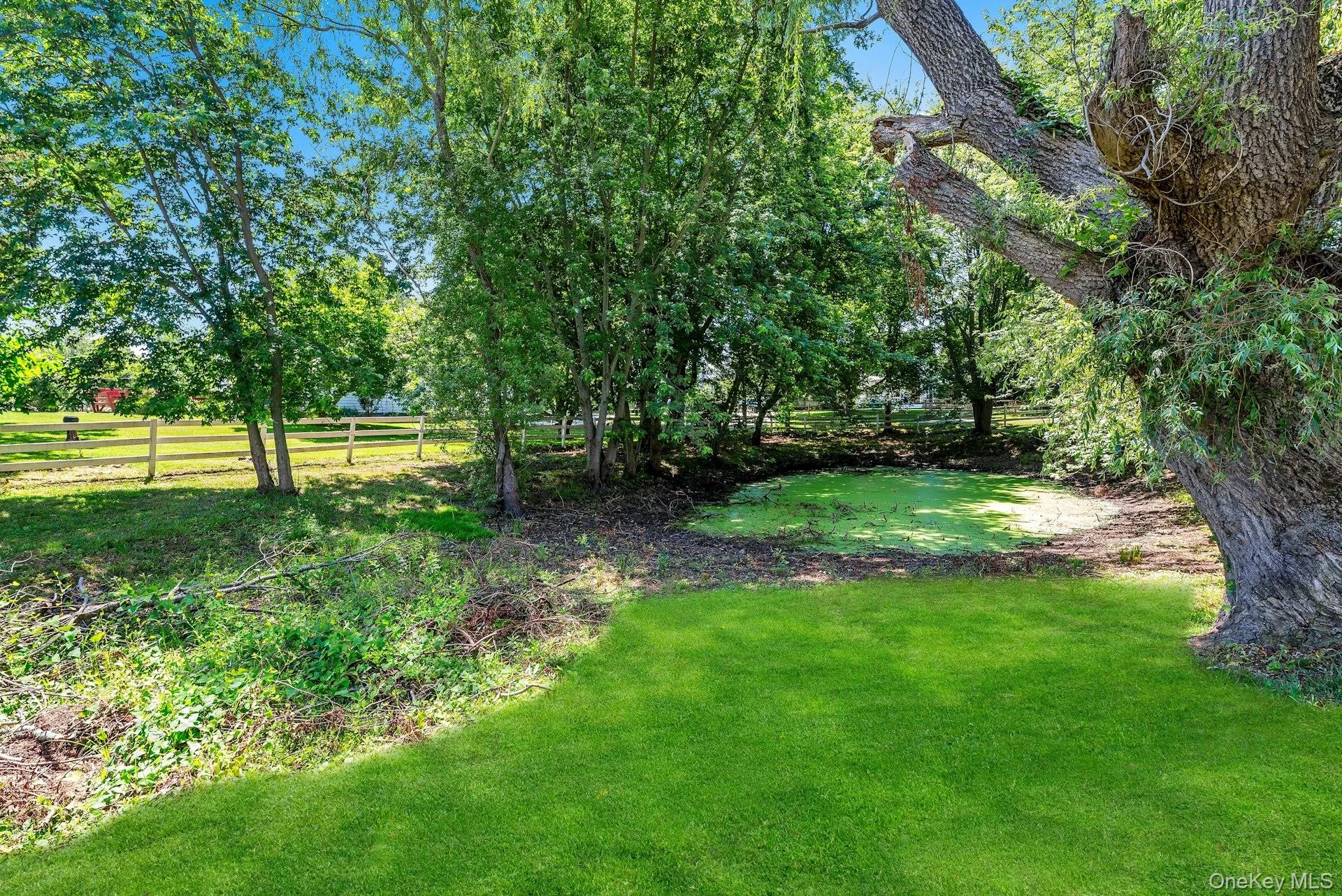 1760 Albertson Lane, Southold, NY, 4 Bedrooms Bedrooms, 9 Rooms Rooms,1 BathroomBathrooms,Residential,For Rent,Albertson,0,934356 1760 Albertson Lane, Southold, NY, 4 Bedrooms Bedrooms, 9 Rooms Rooms,1 BathroomBathrooms,Residential,For Rent,Albertson,0,934356