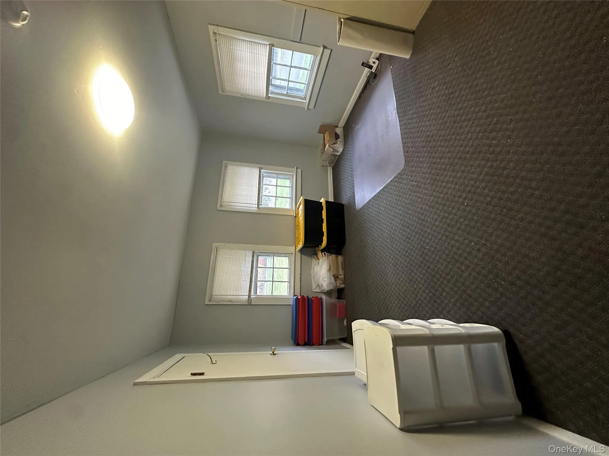 Living area with carpet floors and healthy amount of natural light Living area with carpet floors and healthy amount of natural light