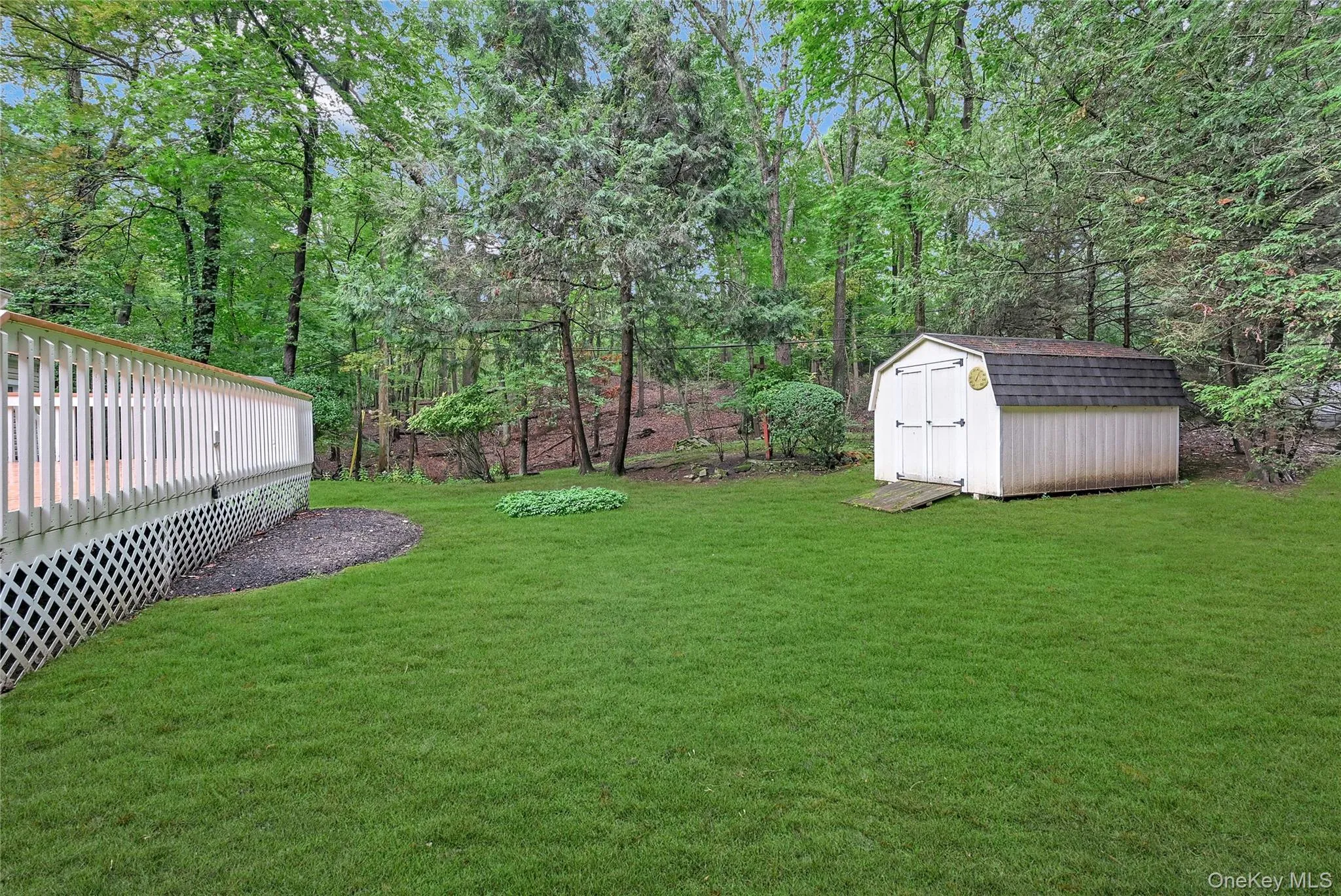 View of grassy yard with a shed and a deck View of grassy yard with a shed and a deck