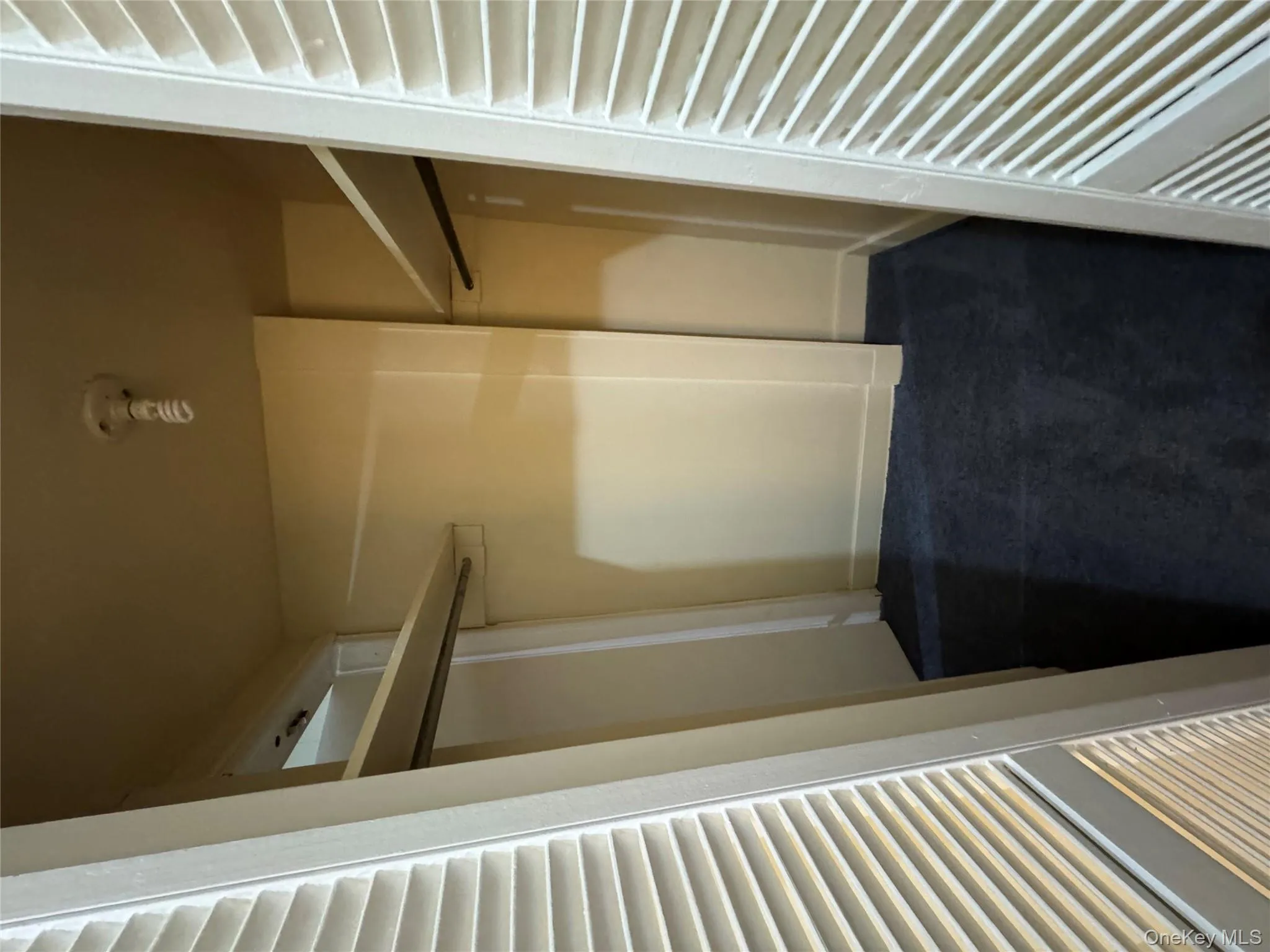 Walk in closet featuring dark colored carpet Walk in closet featuring dark colored carpet