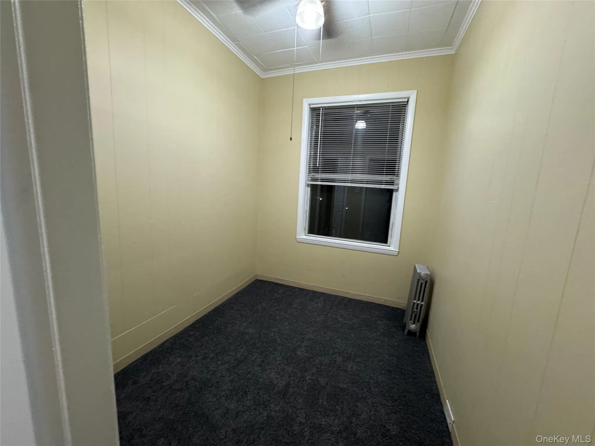 Spare room with dark carpet, ornamental molding, and radiator heating unit Spare room with dark carpet, ornamental molding, and radiator heating unit