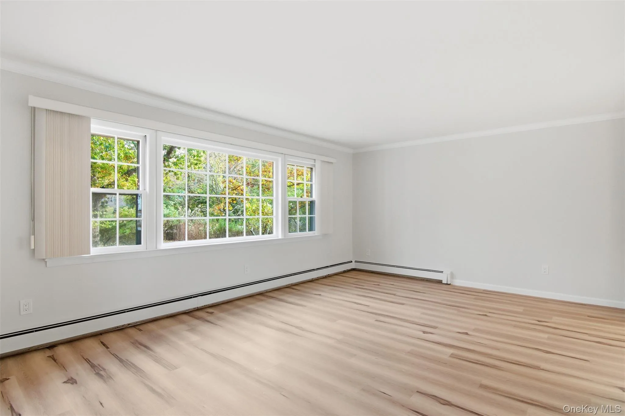 Spare room with a baseboard heating unit, ornamental molding, and light wood-style flooring Spare room with a baseboard heating unit, ornamental molding, and light wood-style flooring