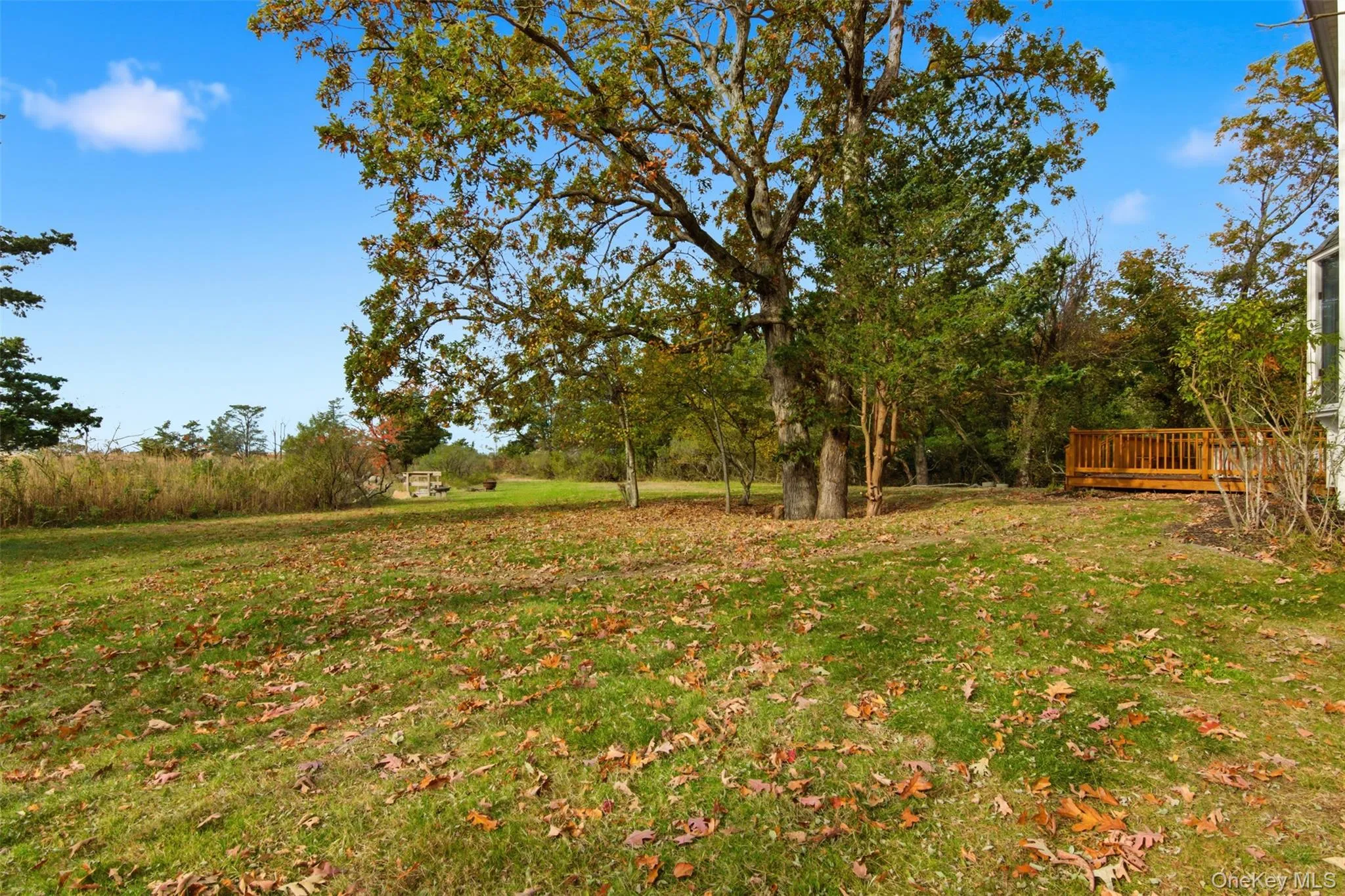 View of grassy yard featuring a wooden deck View of grassy yard featuring a wooden deck