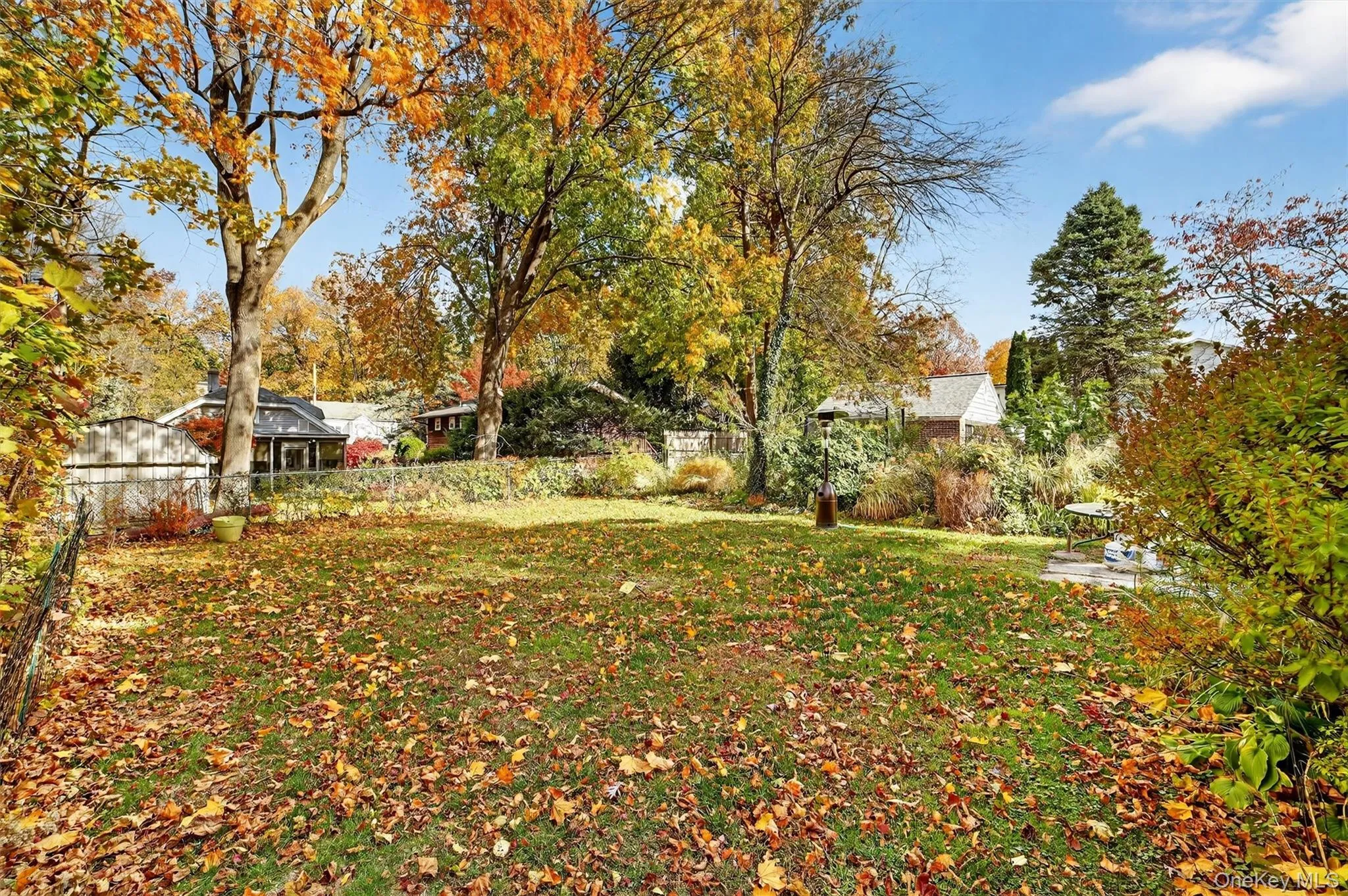 View of yard featuring view of scattered trees View of yard featuring view of scattered trees