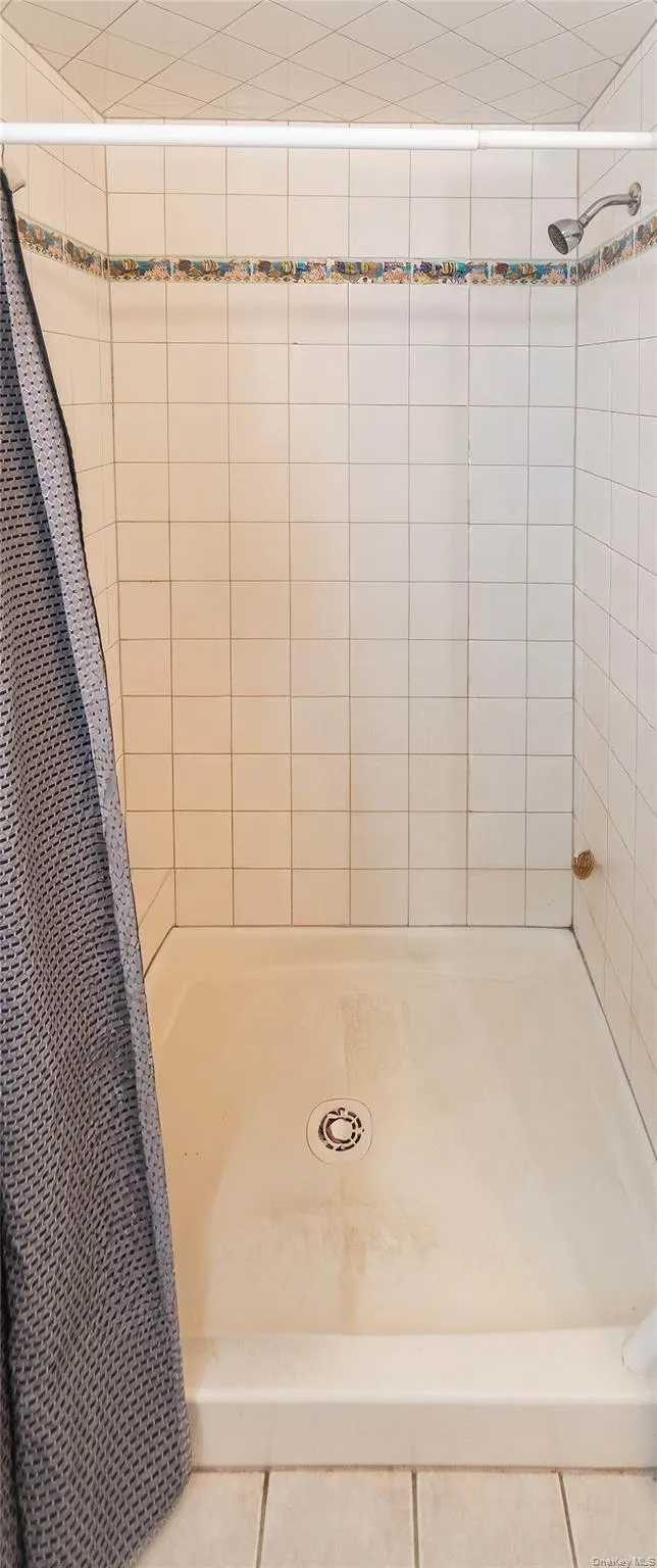 Shower in Primary Suite Shower in Primary Suite