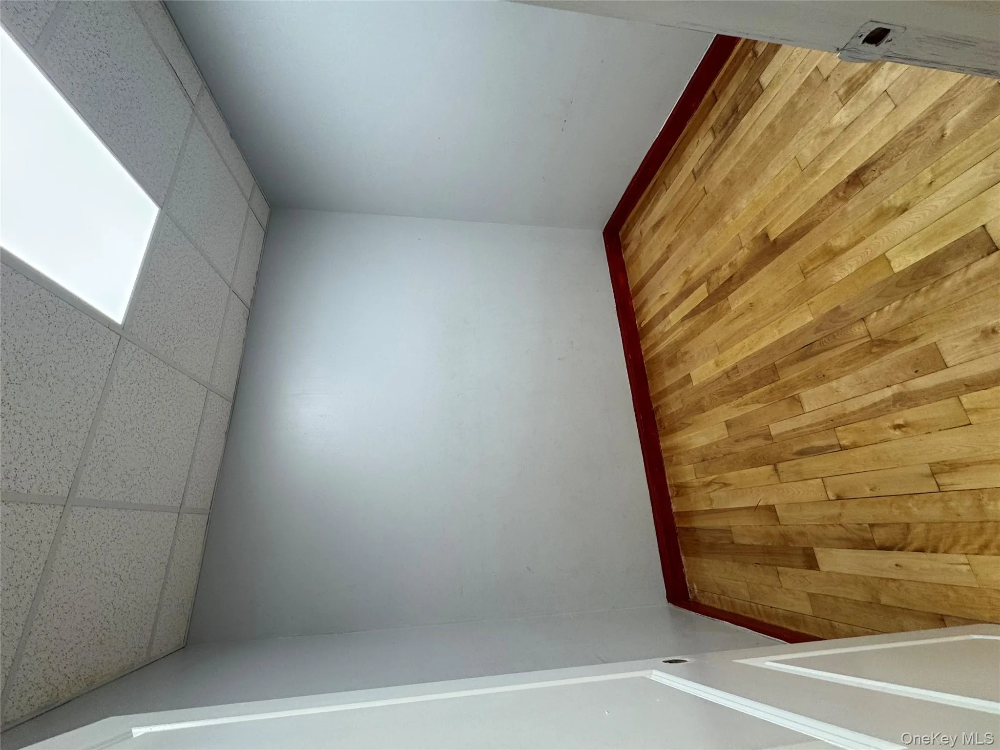 Empty room featuring light wood-type flooring and a drop ceiling Empty room featuring light wood-type flooring and a drop ceiling