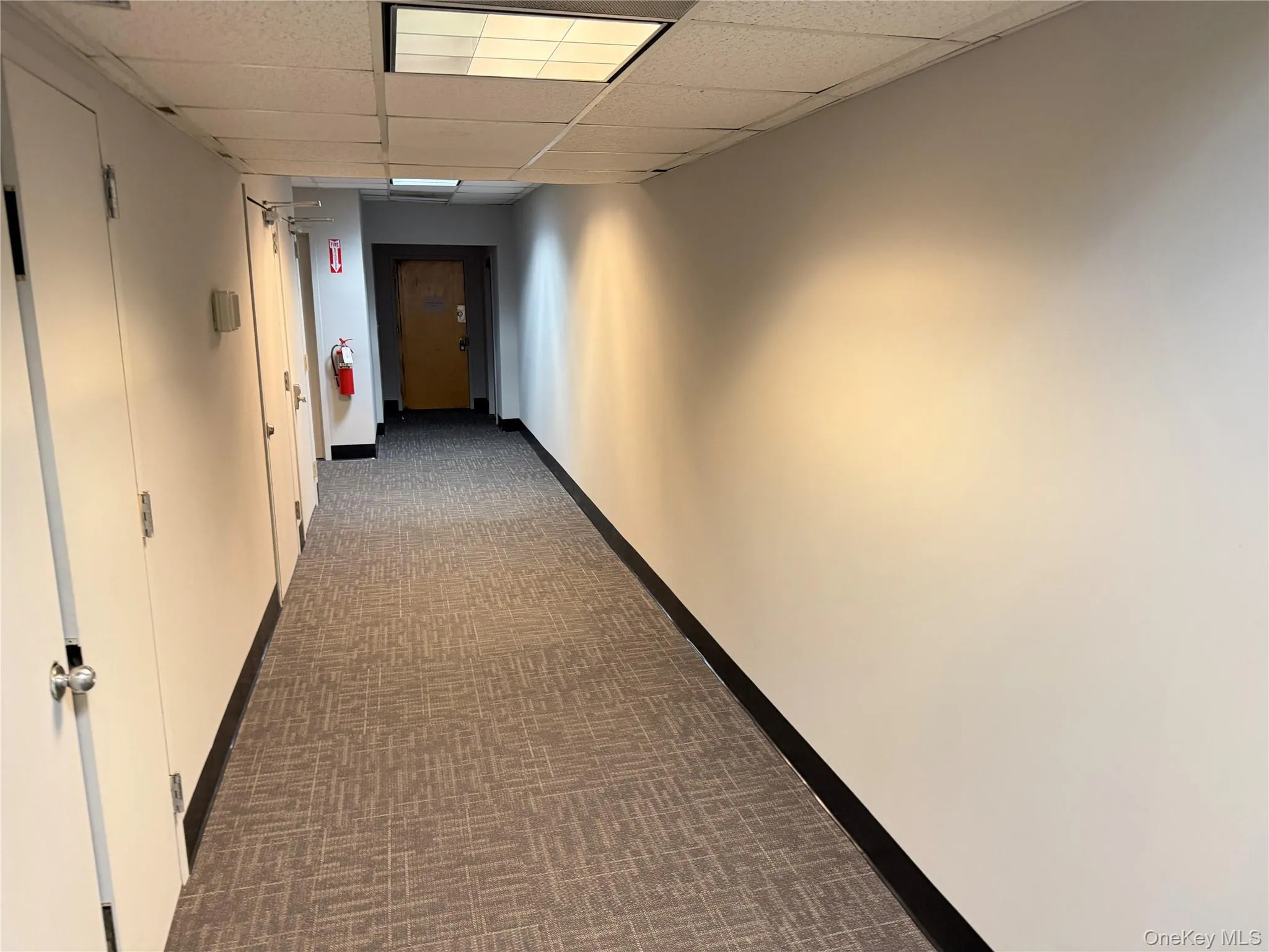 Corridor leading to second entry door of the suite Corridor leading to second entry door of the suite