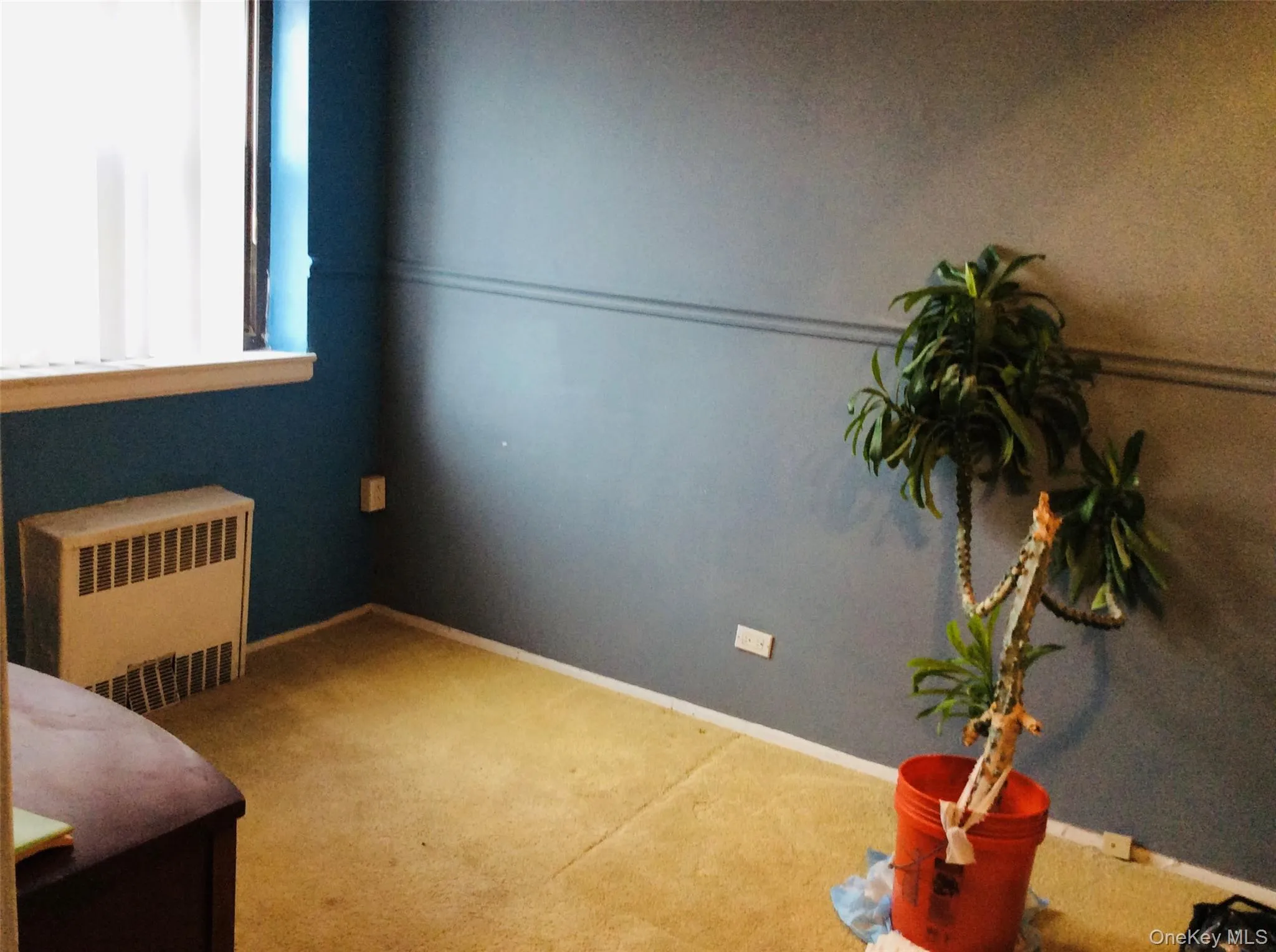 204-15 Foothill Avenue, New York, NY, 2 Bedrooms Bedrooms, 5 Rooms Rooms,1 BathroomBathrooms,Residential Sale,For Rent,Foothill,0,934527 204-15 Foothill Avenue, New York, NY, 2 Bedrooms Bedrooms, 5 Rooms Rooms,1 BathroomBathrooms,Residential Sale,For Rent,Foothill,0,934527