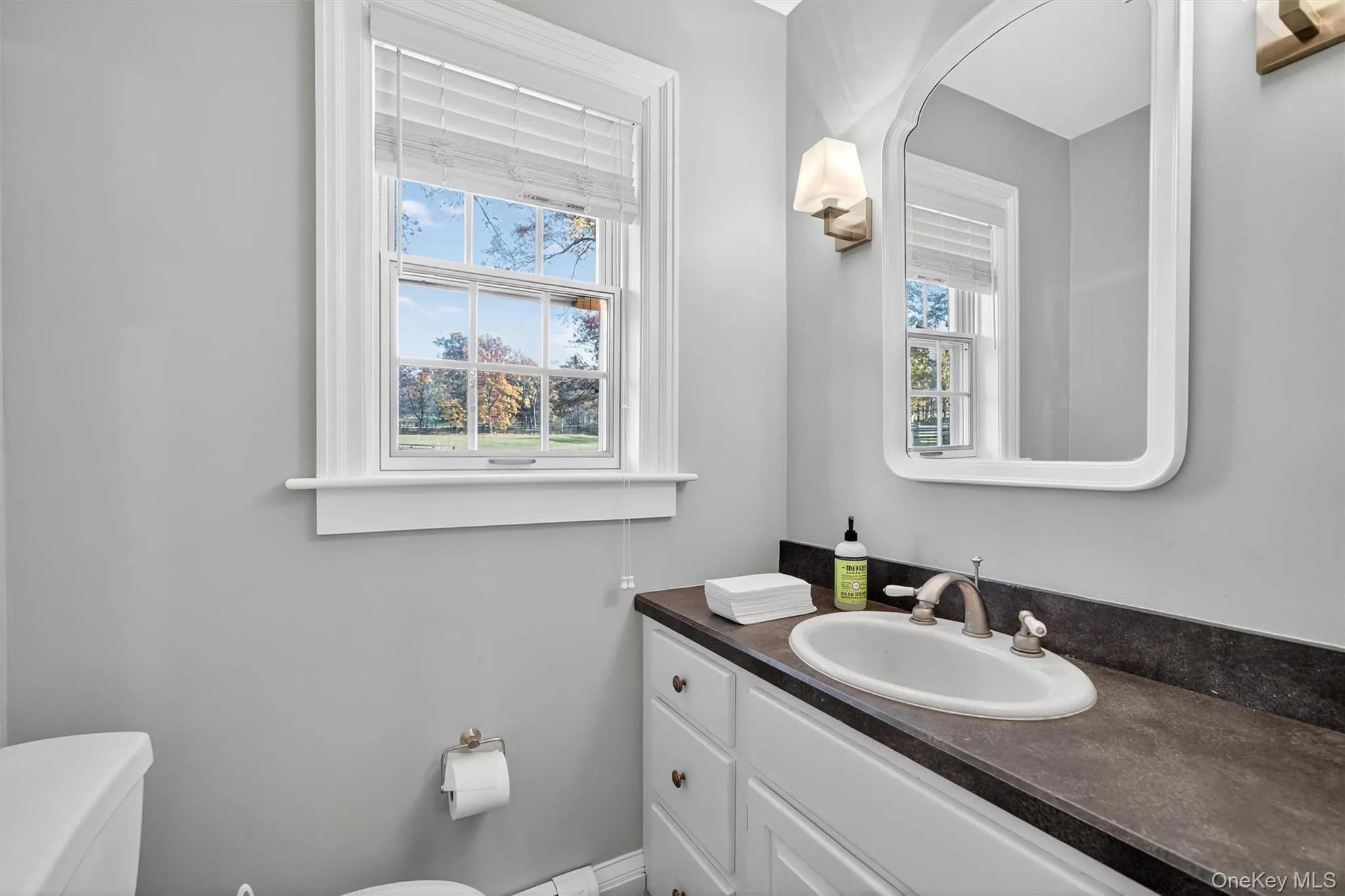 Half bath featuring vanity and toilet Half bath featuring vanity and toilet