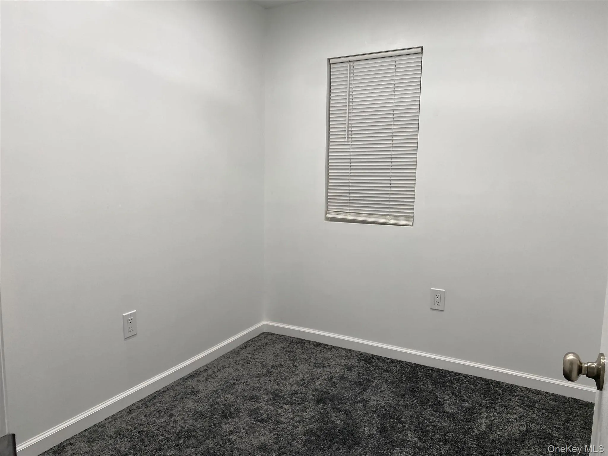 Unfurnished room with carpet flooring and baseboards Unfurnished room with carpet flooring and baseboards