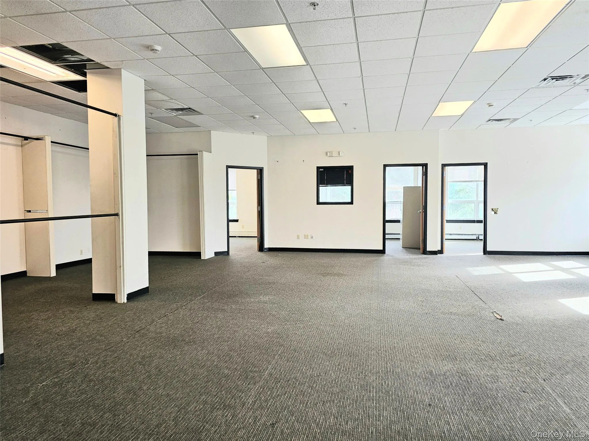 Carpeted spare room featuring a drop ceiling and baseboards Carpeted spare room featuring a drop ceiling and baseboards