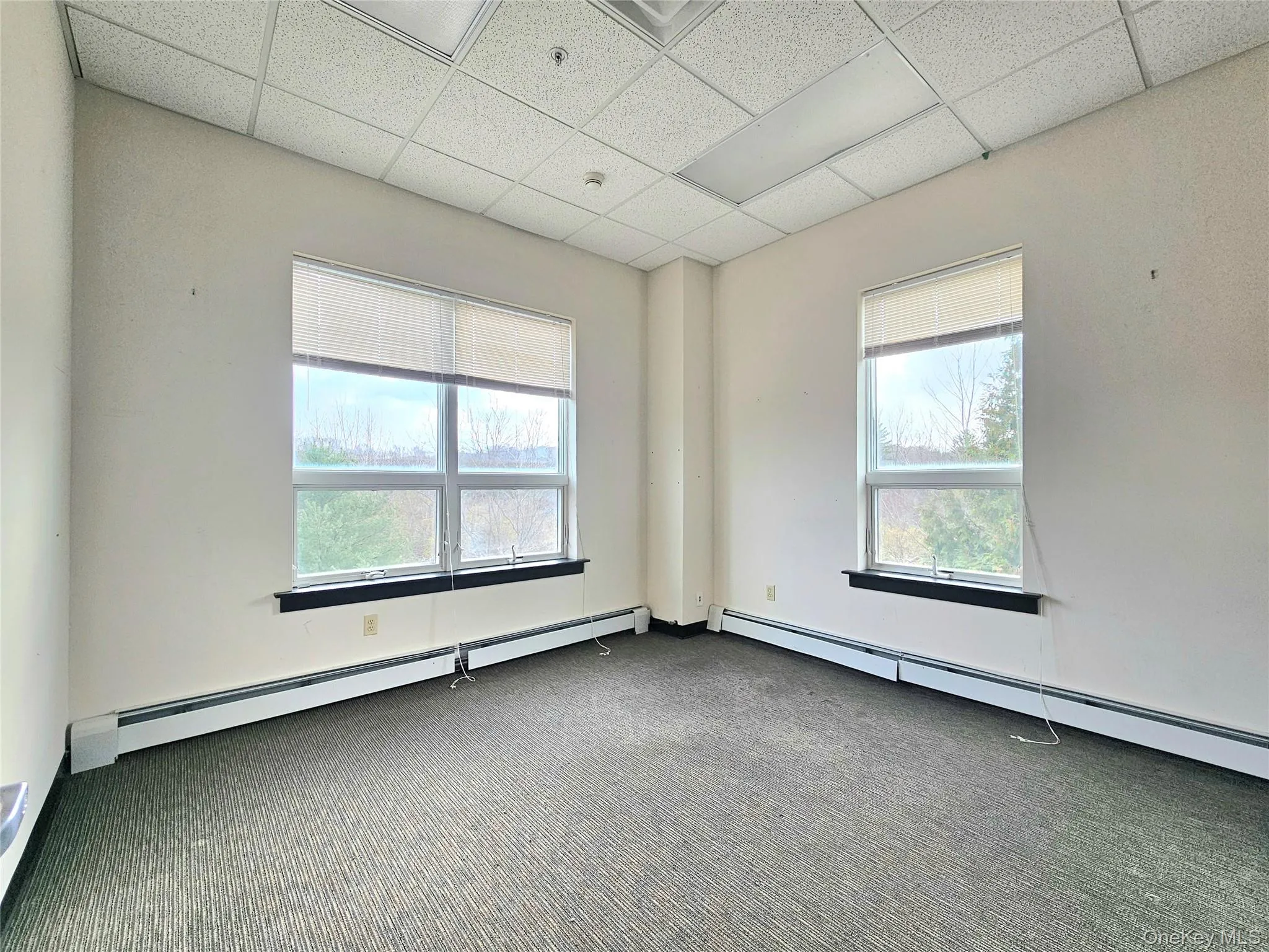 Spare room featuring a baseboard heating unit, a paneled ceiling, and carpet floors Spare room featuring a baseboard heating unit, a paneled ceiling, and carpet floors