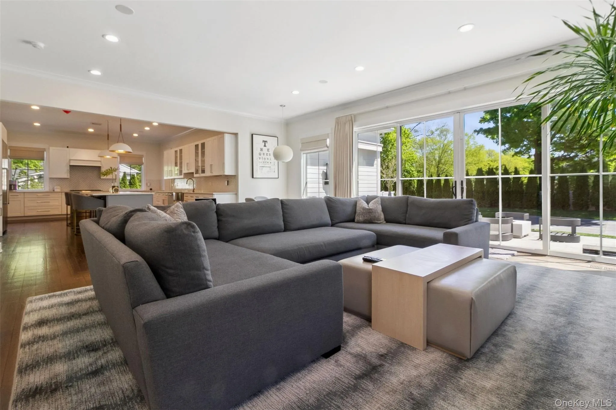 Living area featuring natural light, dark wood finished floors, and recessed lighting Living area featuring natural light, dark wood finished floors, and recessed lighting