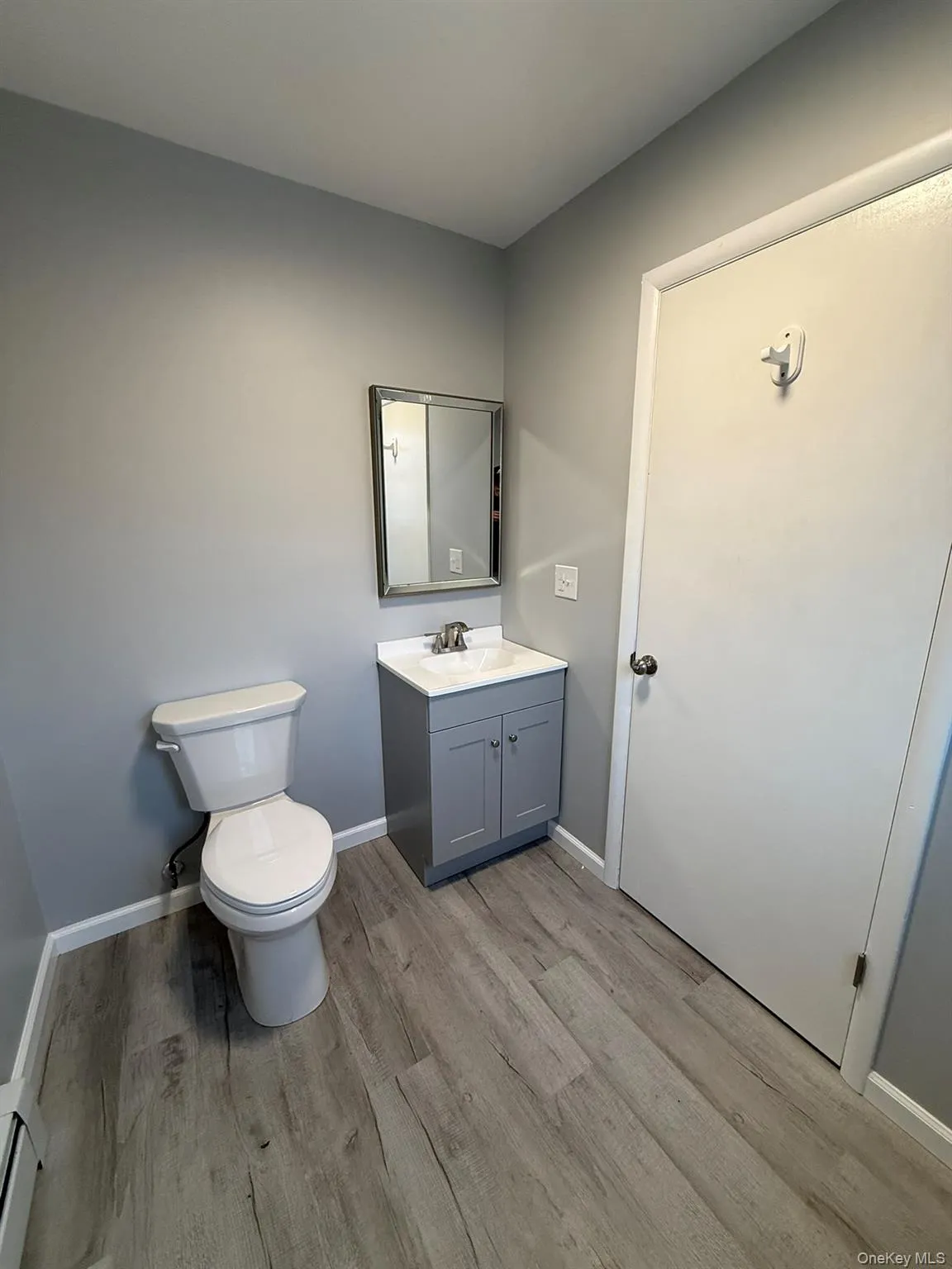 Bathroom featuring vanity and light wood finished floors Bathroom featuring vanity and light wood finished floors