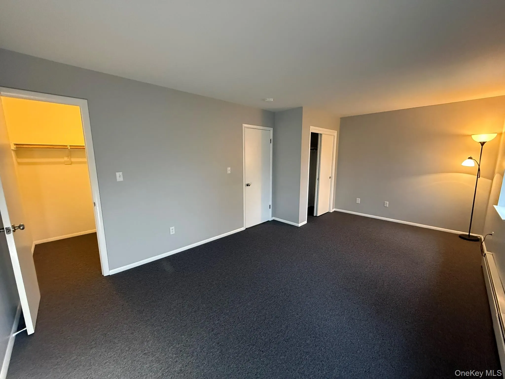 Unfurnished bedroom with a spacious closet, baseboard heating, and dark colored carpet Unfurnished bedroom with a spacious closet, baseboard heating, and dark colored carpet