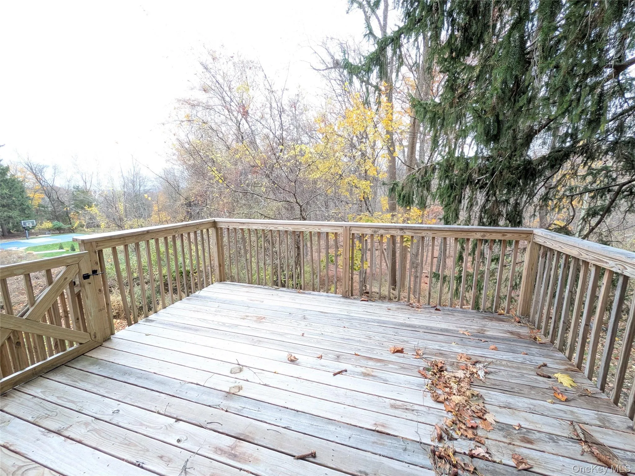 Complete privacy as seen from deck. Complete privacy as seen from deck.