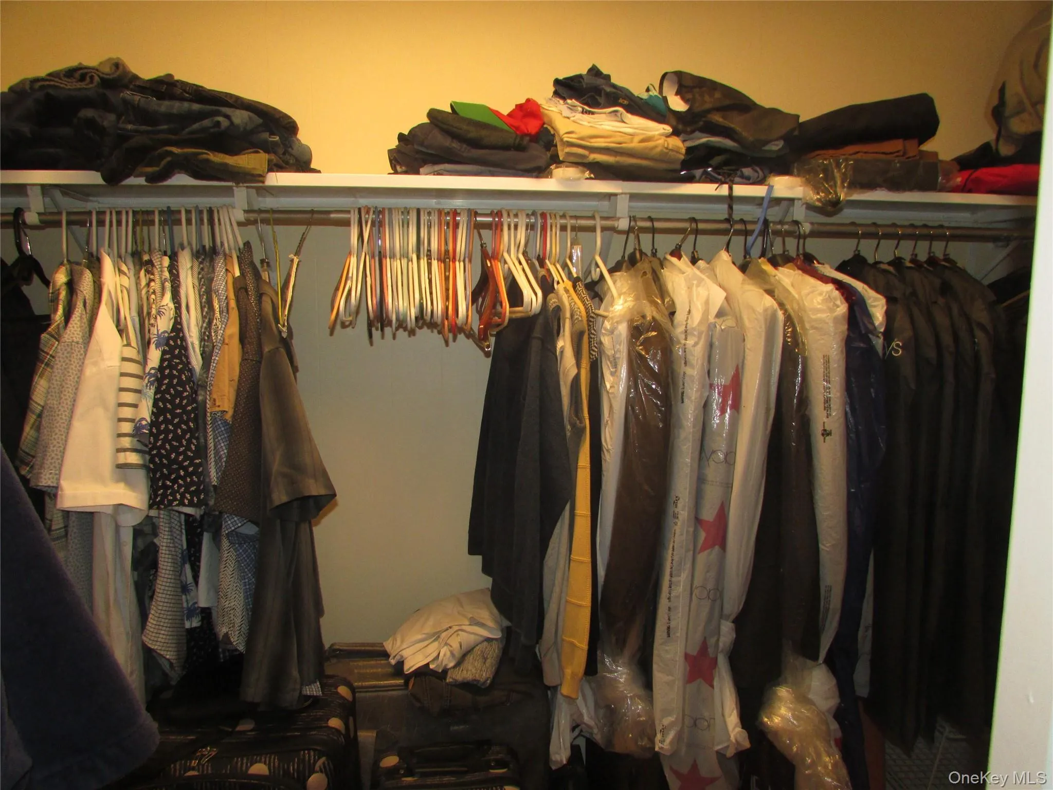 Walk in closet featuring radiator heating unit Walk in closet featuring radiator heating unit