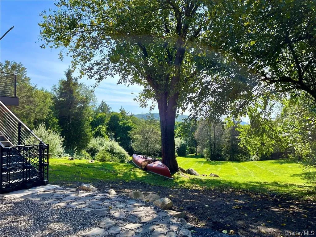 backyard in spring/summer backyard in spring/summer