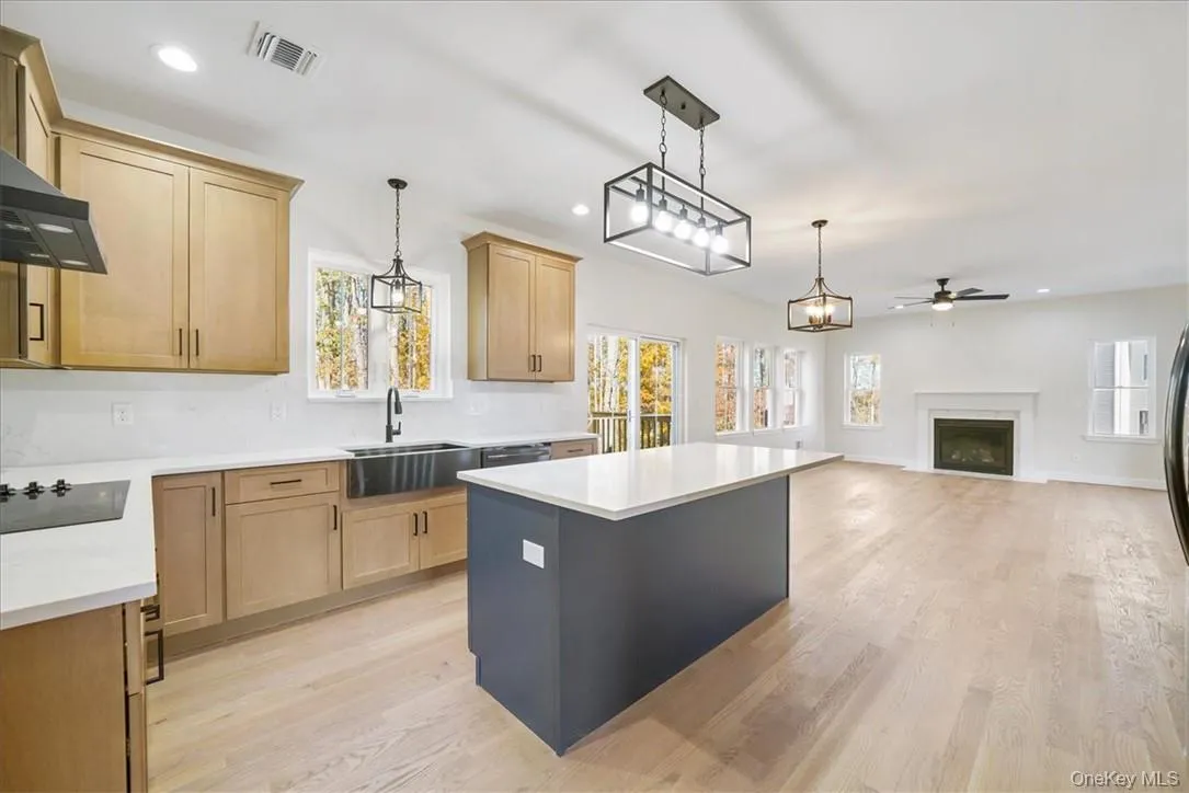 Kitchen featuring light hardwood / wood-style floors, plenty of natural light, sink, and a center island Kitchen featuring light hardwood / wood-style floors, plenty of natural light, sink, and a center island