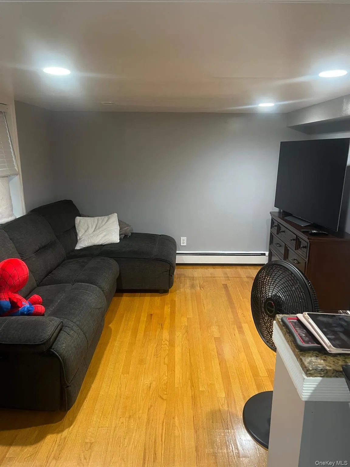 Living area featuring light wood-type flooring and a baseboard heating unit Living area featuring light wood-type flooring and a baseboard heating unit
