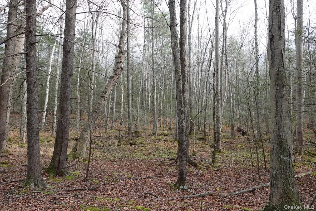 View of wooded area View of wooded area