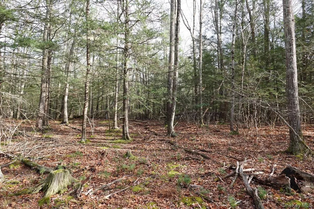 738 Manorville Road, Saugerties, NY, ,Land,For Rent,Manorville,0,934876 738 Manorville Road, Saugerties, NY, ,Land,For Rent,Manorville,0,934876