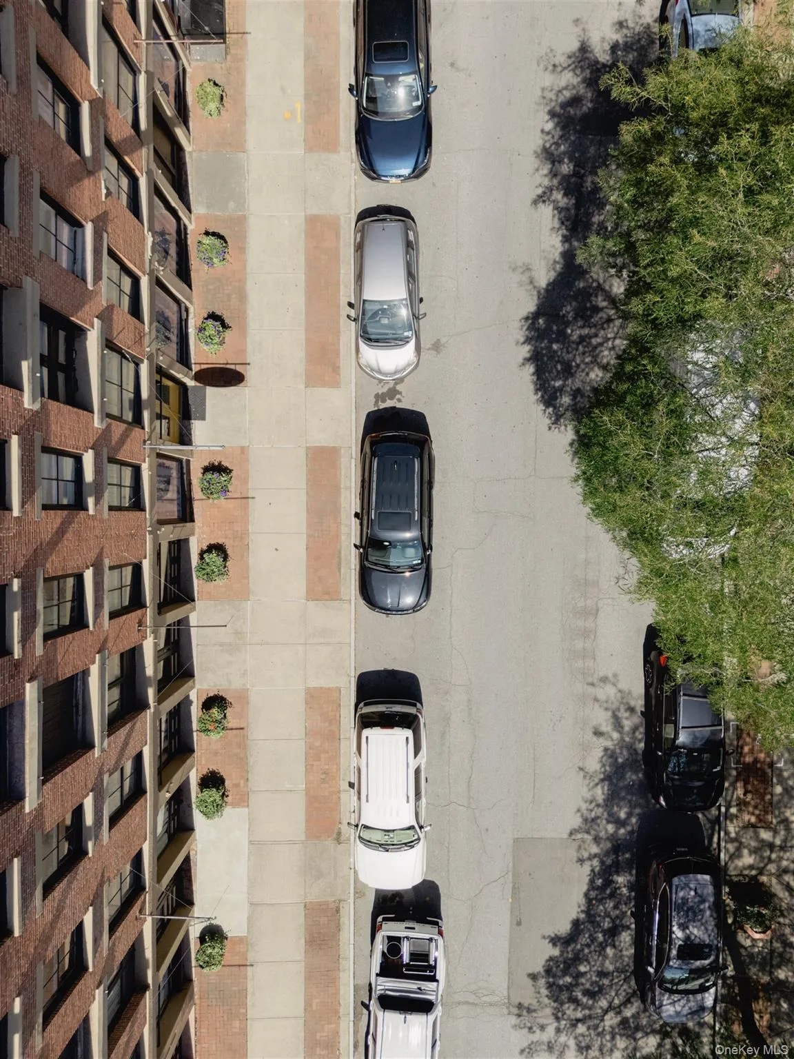 View of property View of property