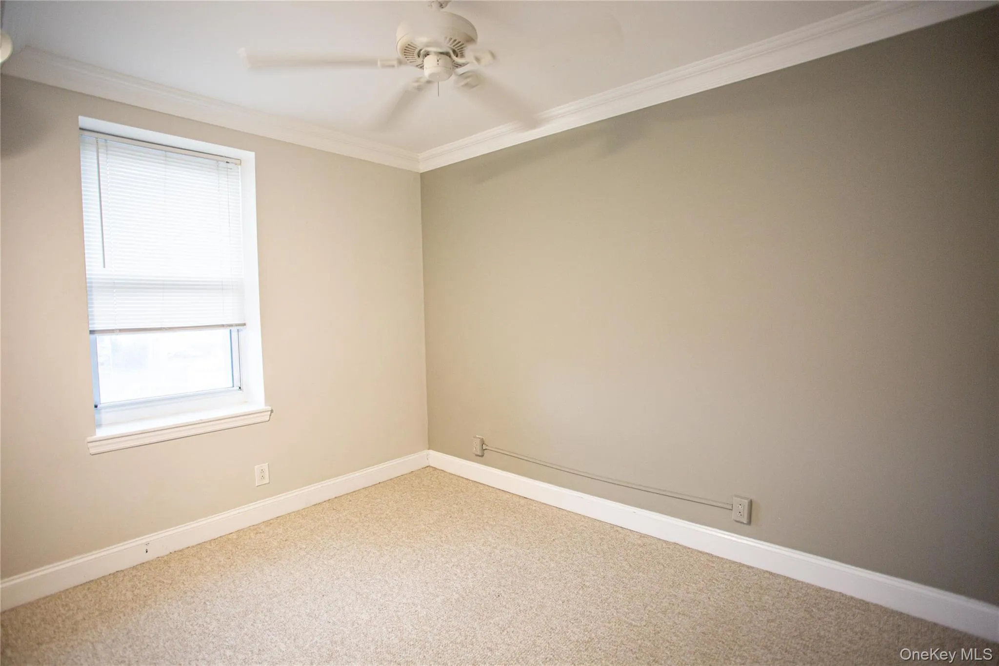 Unfurnished room featuring carpet floors, ornamental molding, and a ceiling fan Unfurnished room featuring carpet floors, ornamental molding, and a ceiling fan