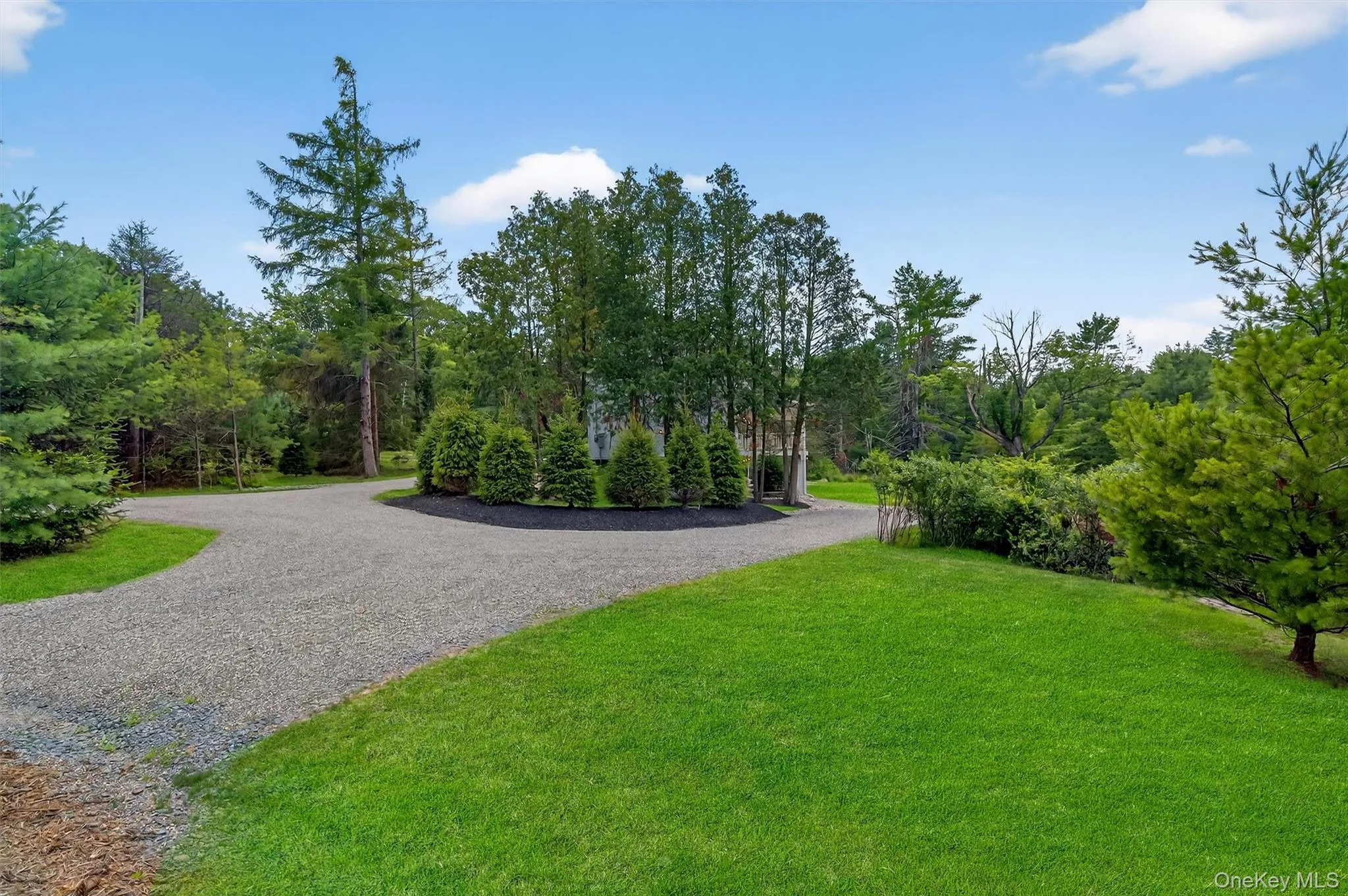 Surrounding community with a lawn and driveway Surrounding community with a lawn and driveway