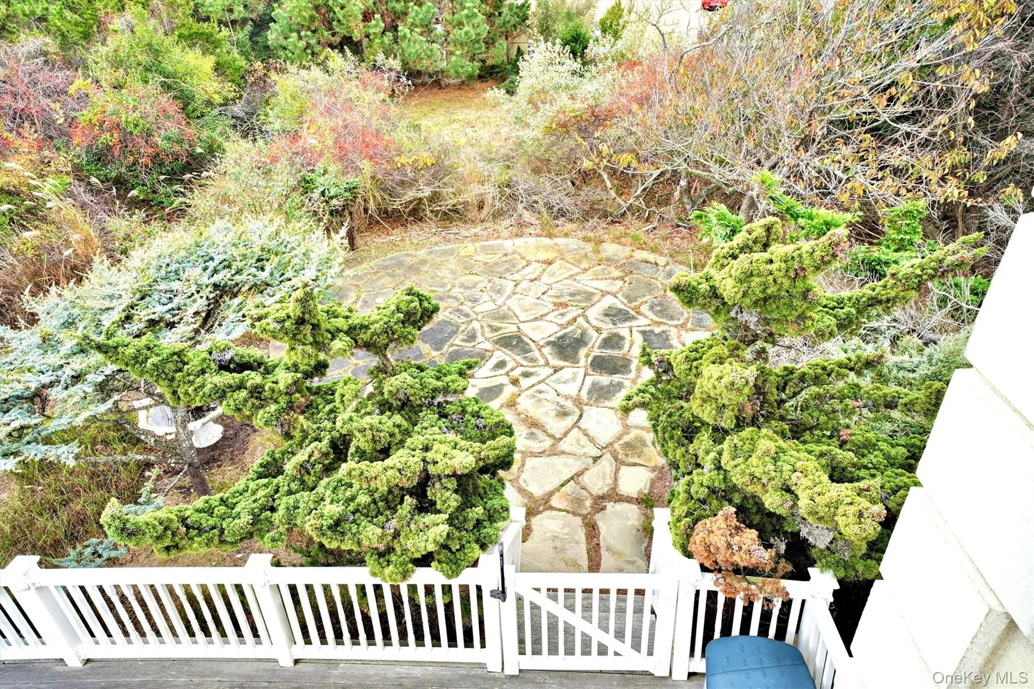 Side yard with patio