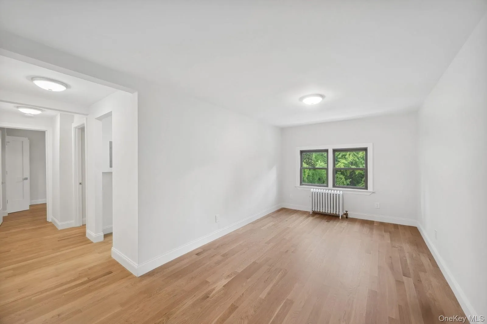 Unfurnished room with light wood finished floors and radiator Unfurnished room with light wood finished floors and radiator