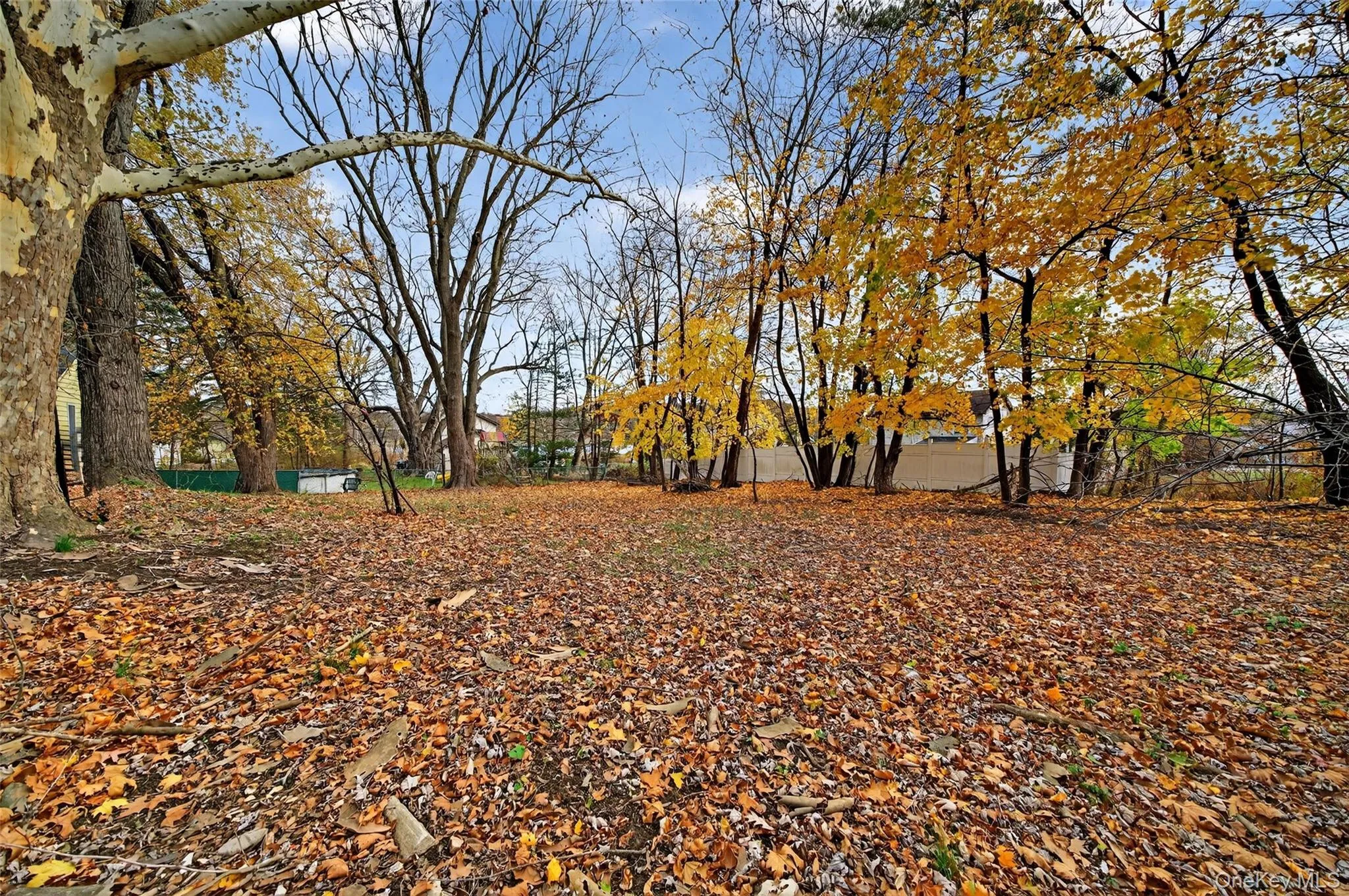 View of yard View of yard