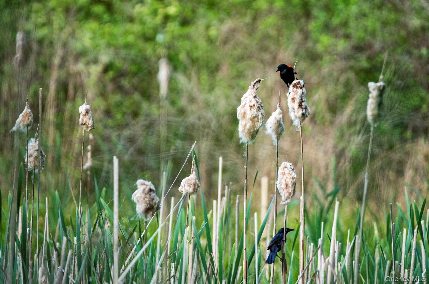 Exterior view Exterior view