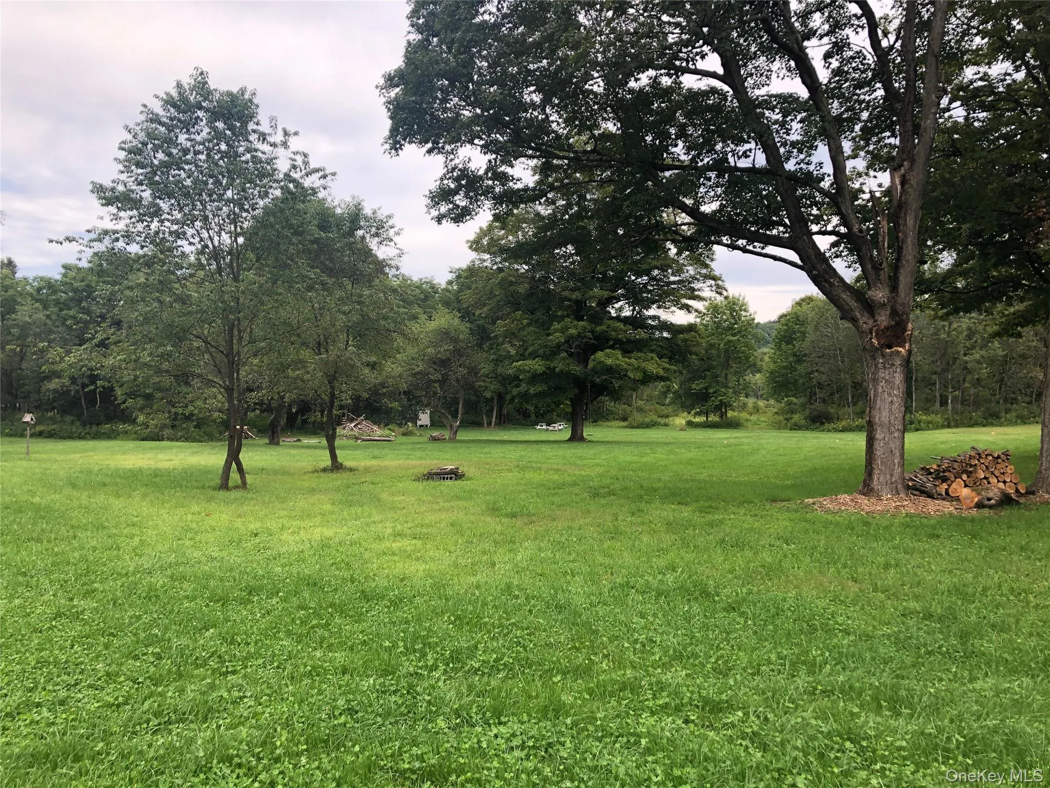 View of green lawn View of green lawn