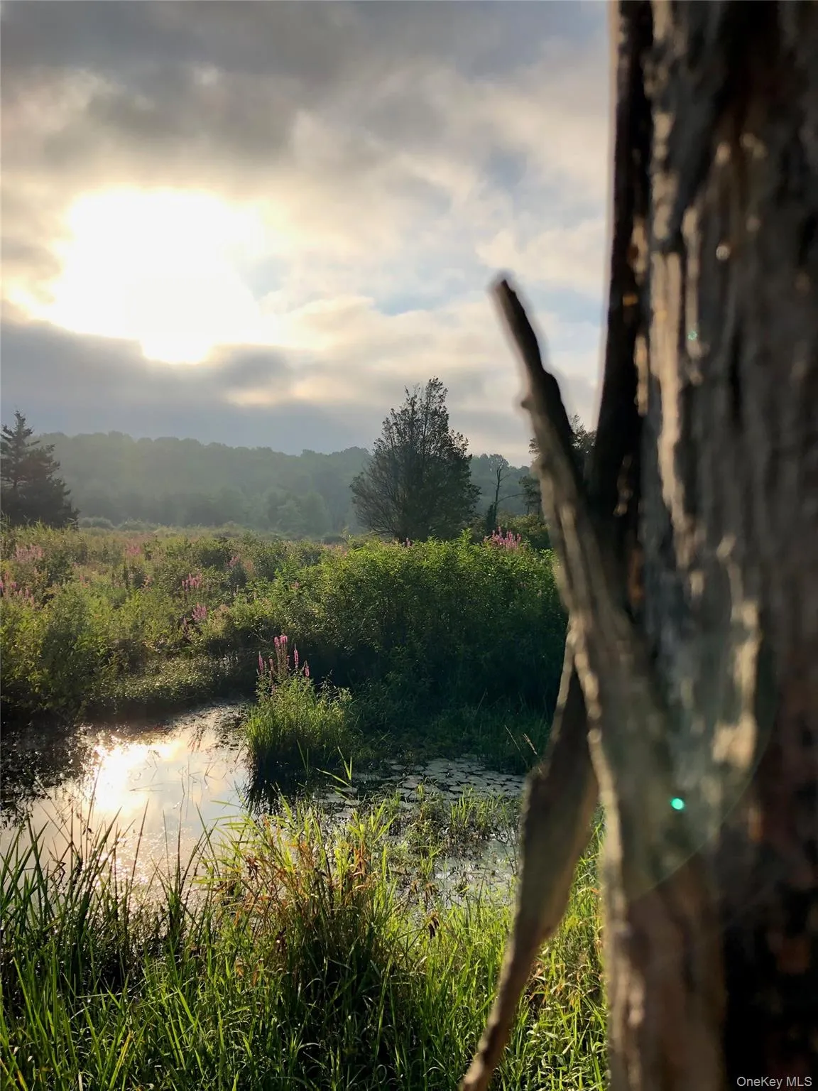 Mountain view Mountain view