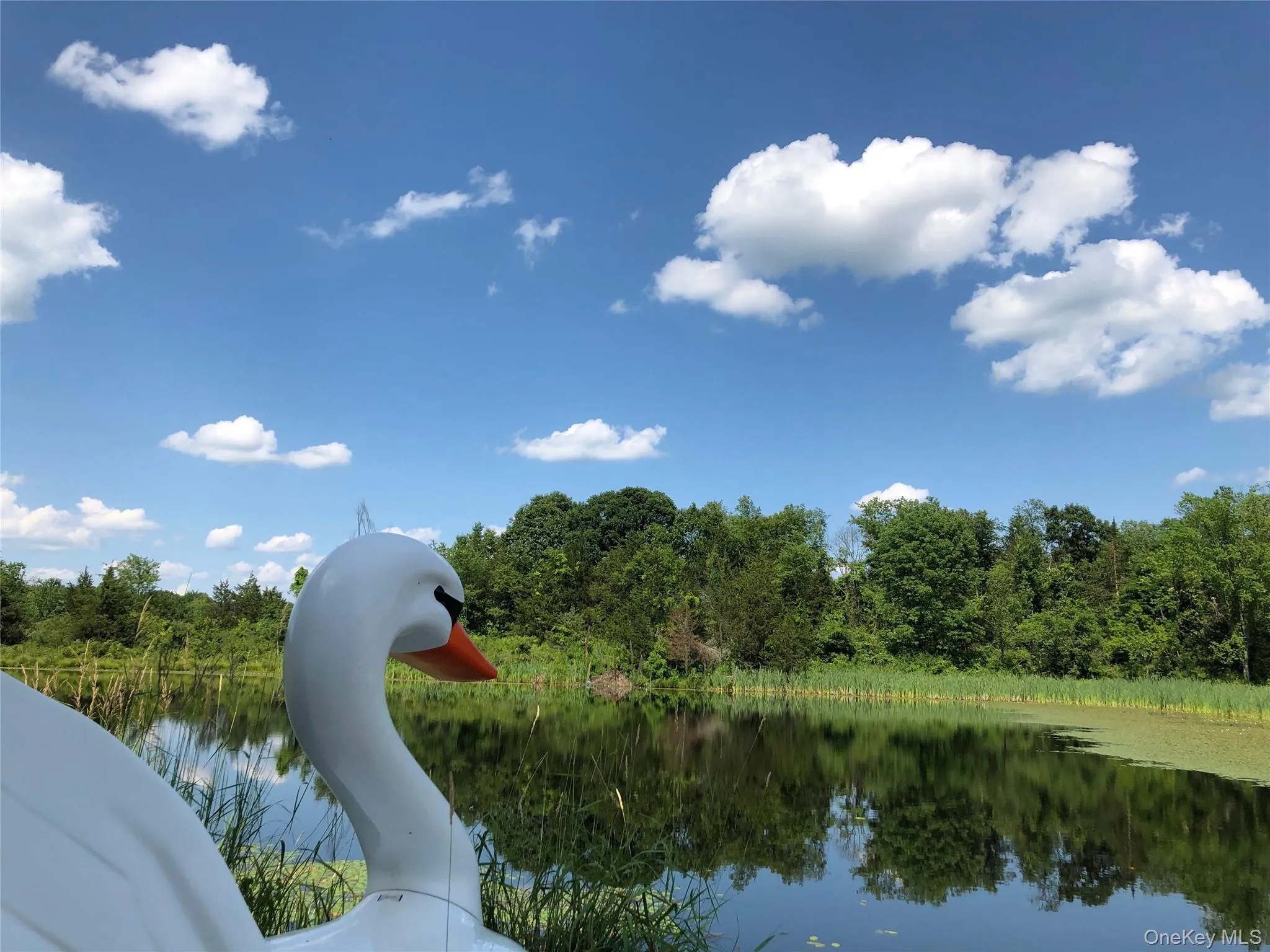 Water view Water view