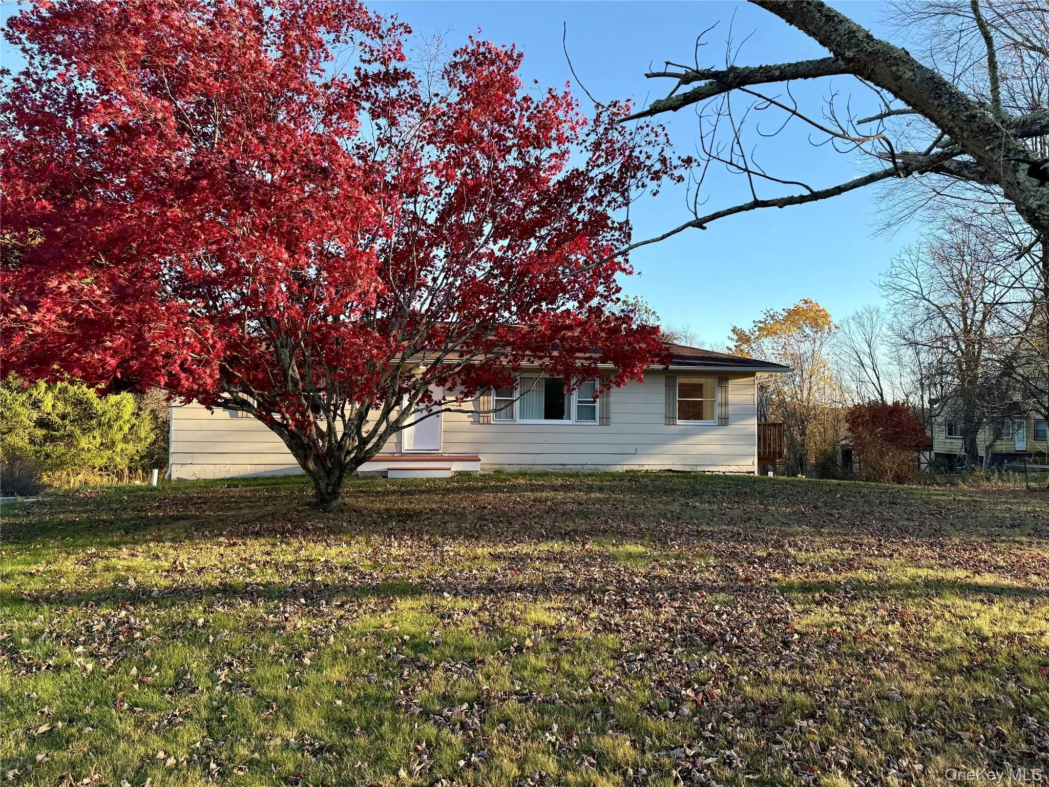 View of home's exterior featuring a yard View of home's exterior featuring a yard