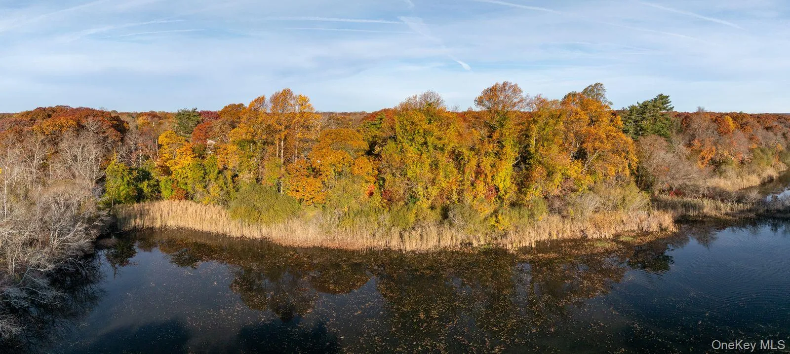 Aerial overview of property's location featuring a nearby body of water and a forest Aerial overview of property's location featuring a nearby body of water and a forest