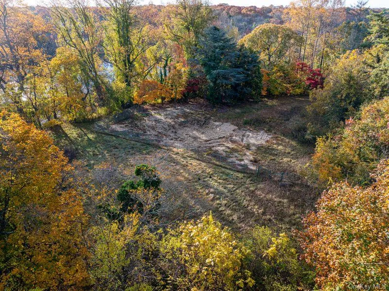 View of yard featuring a forest view View of yard featuring a forest view