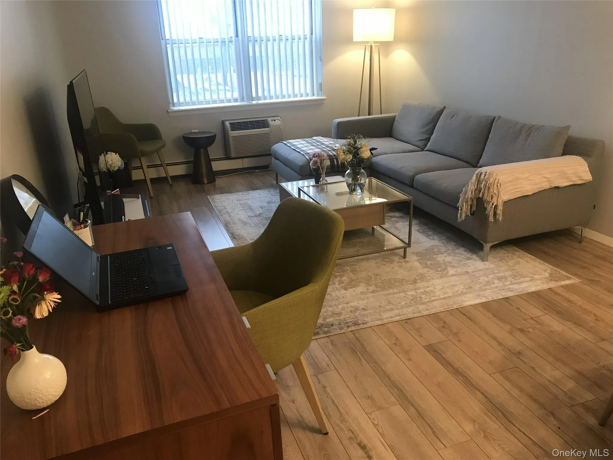 Living area featuring light wood finished floors, a wall unit AC, and baseboard heating Living area featuring light wood finished floors, a wall unit AC, and baseboard heating