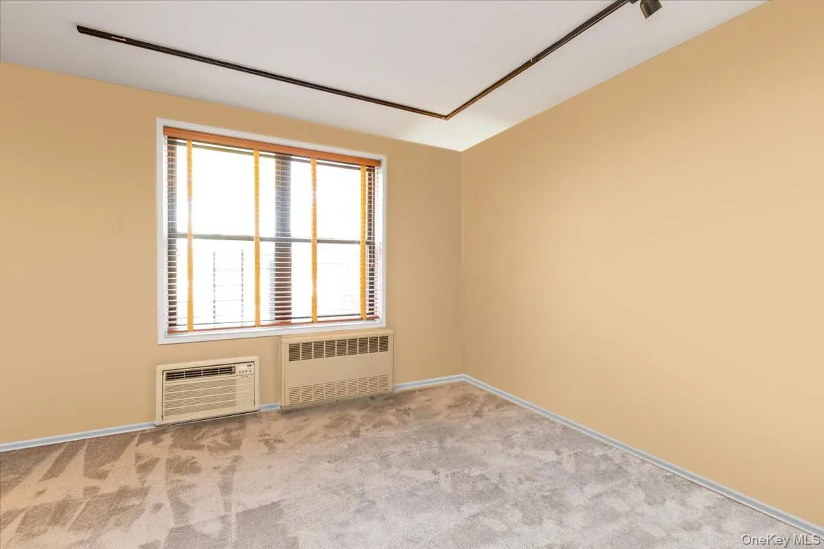 Spare room featuring radiator, light colored carpet, and a wall mounted AC Spare room featuring radiator, light colored carpet, and a wall mounted AC