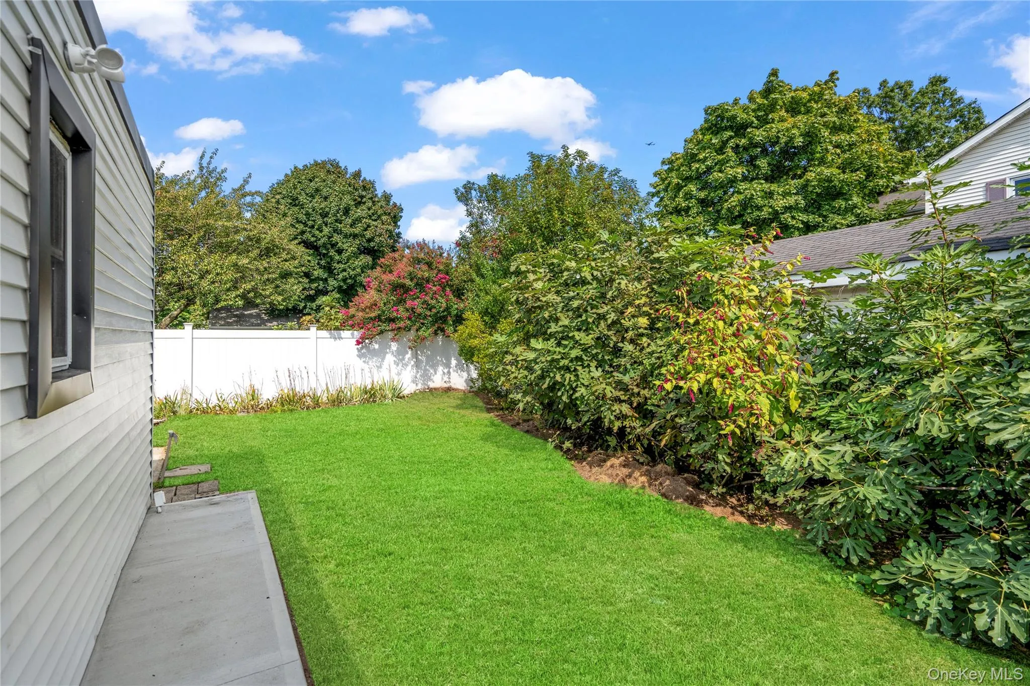 View of yard View of yard