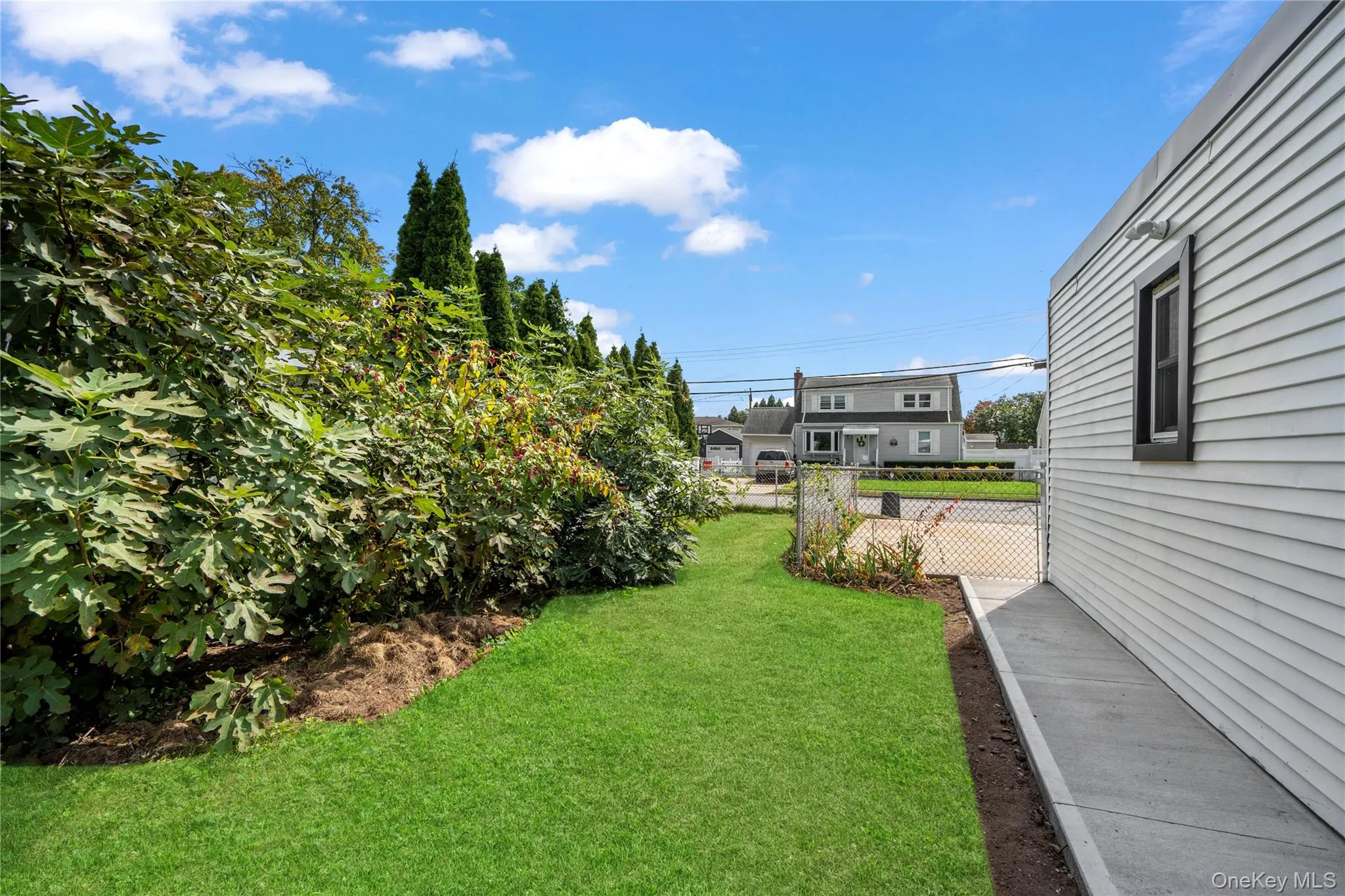 View of yard View of yard