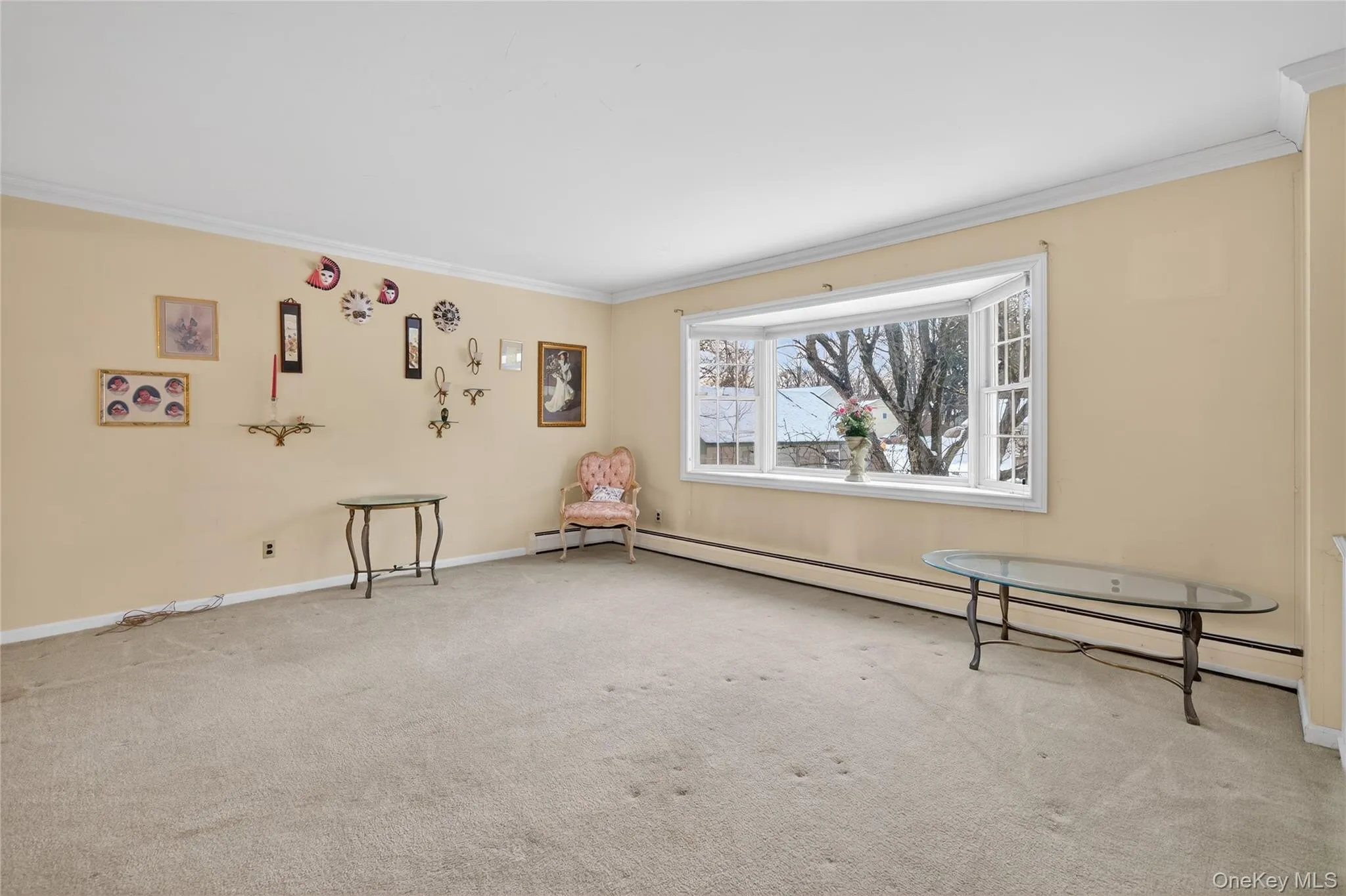 Carpeted spare room with crown molding and a baseboard radiator Carpeted spare room with crown molding and a baseboard radiator