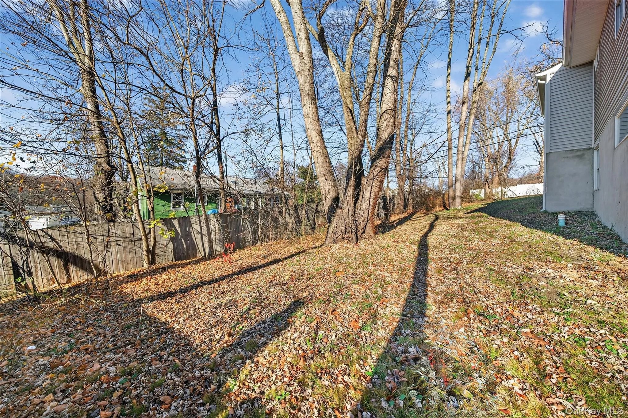 View of yard View of yard