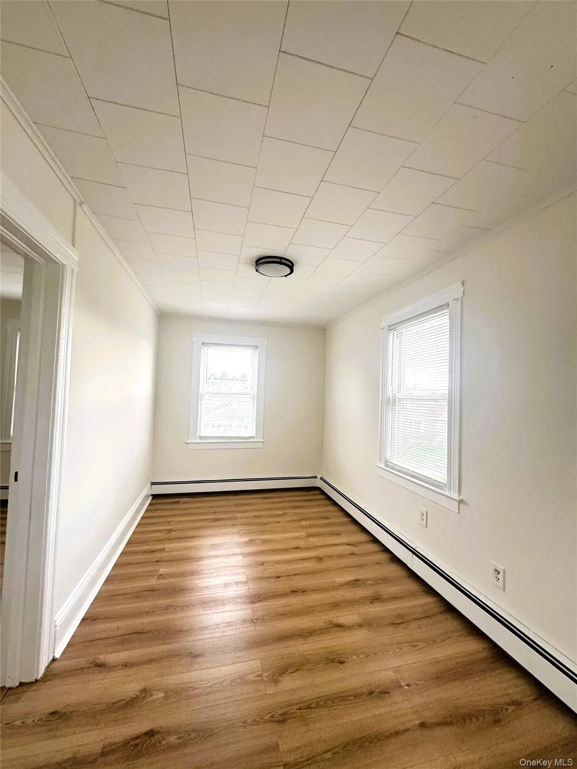 Unfurnished room featuring a baseboard radiator, light wood finished floors, and plenty of natural light Unfurnished room featuring a baseboard radiator, light wood finished floors, and plenty of natural light