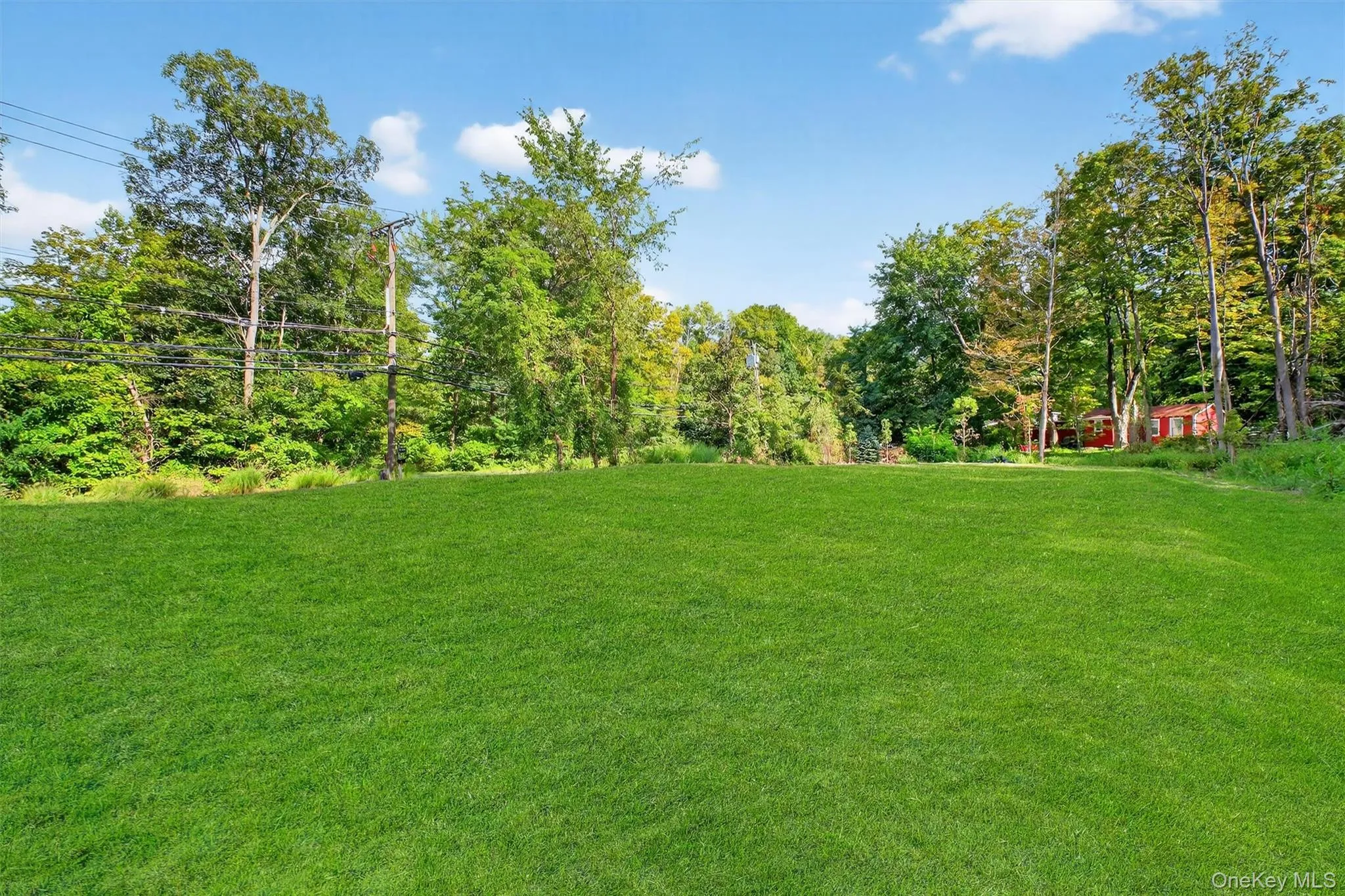 View of grassy yard View of grassy yard